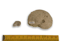 F 03902
<br/>
<br/>
<em></em>